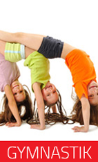 sgf gymnastik